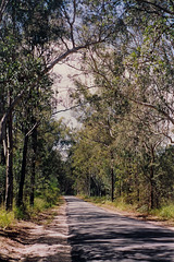 Tamborine Mountain, Queensland, Australia