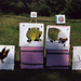 Archery Targets at Barleycorn, Sept. 2006
