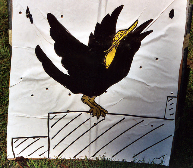 Crow "Eularia" Target at Barleycorn, Sept 2006