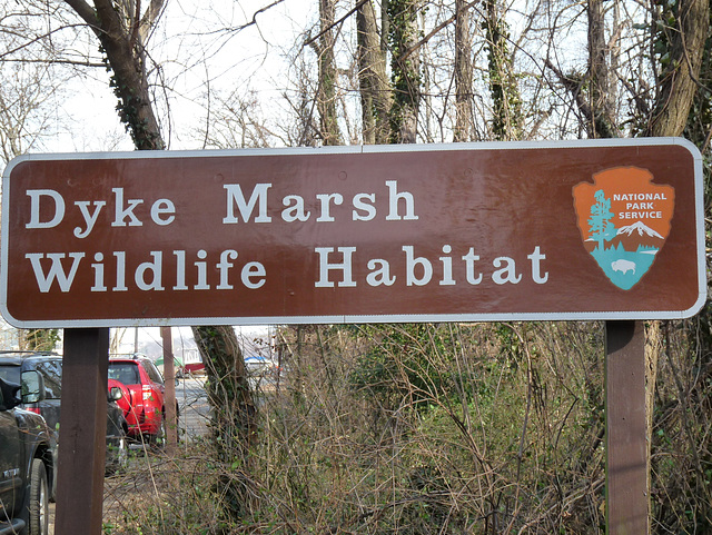 Dyke Marsh