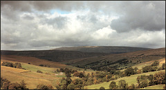 moorland view