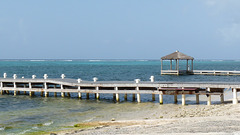 Red Bay Dock