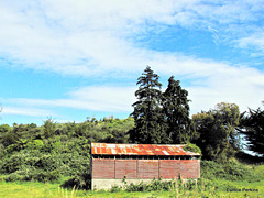 Old barn north of Waikanae