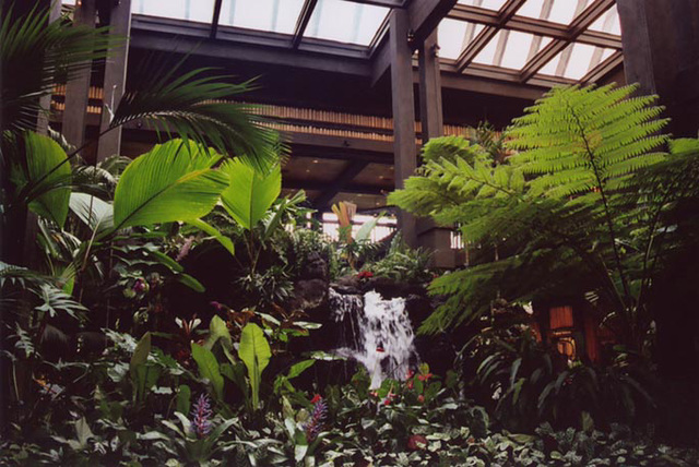 Waterfall Inside the Polynesian Hotel at Walt Disney World in Florida, July 2004