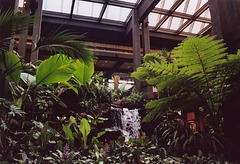 Waterfall Inside the Polynesian Hotel at Walt Disney World in Florida, July 2004