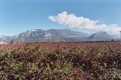 View of the Countryside from the site of Paestum, 2003