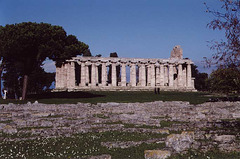 Temple at Paestum, 2003