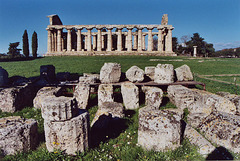 Temple & Broken Columns at Paestum, Nov. 2003