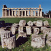 Temple & Broken Columns at Paestum, Nov. 2003