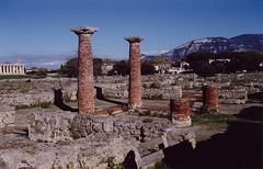 Brick Columns around the Impluvium in a Roman Atrium House in Paestum, 2003