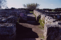 Remains of Roman Houses in Paestum, 2003