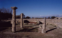A Roman Atrium House in Paestum, 2003