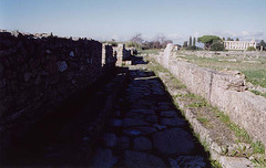 A Roman Street in Paestum, 2003