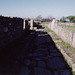 A Roman Street in Paestum, 2003
