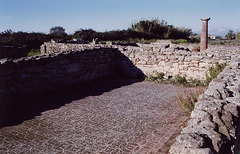 White Geometric Floor Mosaic in Paestum, 2003