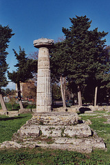 Column in Paestum, 2003