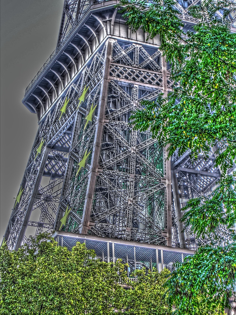 PARIS: La tour Eiffel cachée par les arbres.