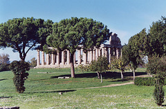 Temple in Paestum, 2003
