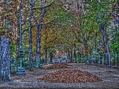 PARIS: L'automne arrive, les feuilles tombes...