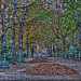 PARIS: L'automne arrive, les feuilles tombes...