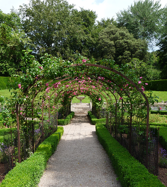 Tyntesfield- The Rose Garden