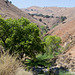 Stanislaus Del Puerto Canyon Rd (0583)