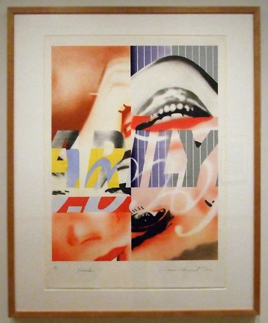 Marilyn by James Rosenquist in the Metropolitan Museum of Art, March 2008