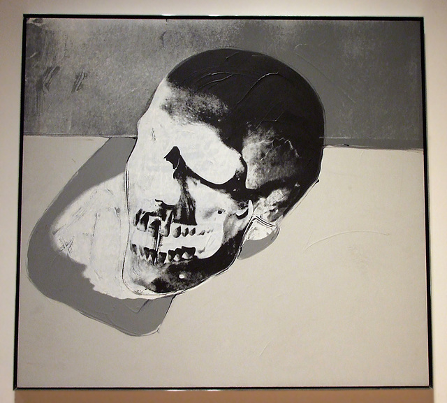 Skull by Andy Warhol in the Metropolitan Museum of Art, March 2008