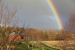 Not taking bets on whether there is a pot of gold in my field...