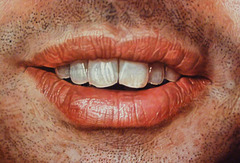 Detail of Mark by Chuck Close in the Metropolitan Museum of Art, March 2008