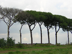 Parco dell'Appia Antica
