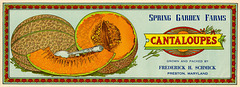 Spring Garden Farms Cantaloupes Label