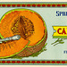 Spring Garden Farms Cantaloupes Label