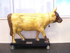 Constance the Constitution Cow