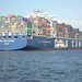Containerschiff  CMA CGM COLUMBA