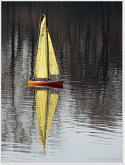 yellow sail