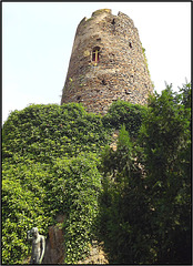 Burg Thurant 029