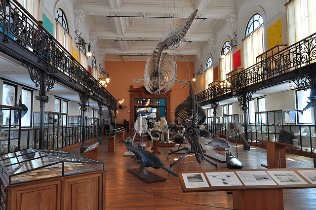 MONACO: Le musée océanographique.
