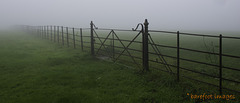 foggy fence