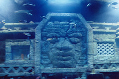 "Sunken Temple" Ruins at the Downtown Aquarium in Houston, July 2005