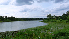 Lake Artemesia