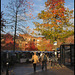autumn at Gloucester Green