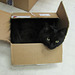 Mail Order Cat-A-Log