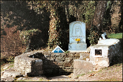 St Lasair's holy well