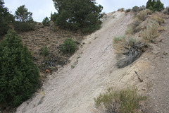 Fairview Peak Fault Scarp
