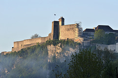 BESANCON: La Citadelle depuis le parc Micaud.