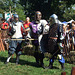 Viceroy Alexandre and Other Fighters at the Fort Tryon Park Medieval Festival, Sept. 2007