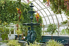 Aquatic Plants and Vines Gallery – New York Botanical Garden, New York, New York