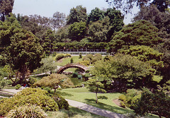 Japanese Garden at the Huntington Library, 2003