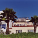 Modern House & Palm Trees in Manhattan Beach, 2005